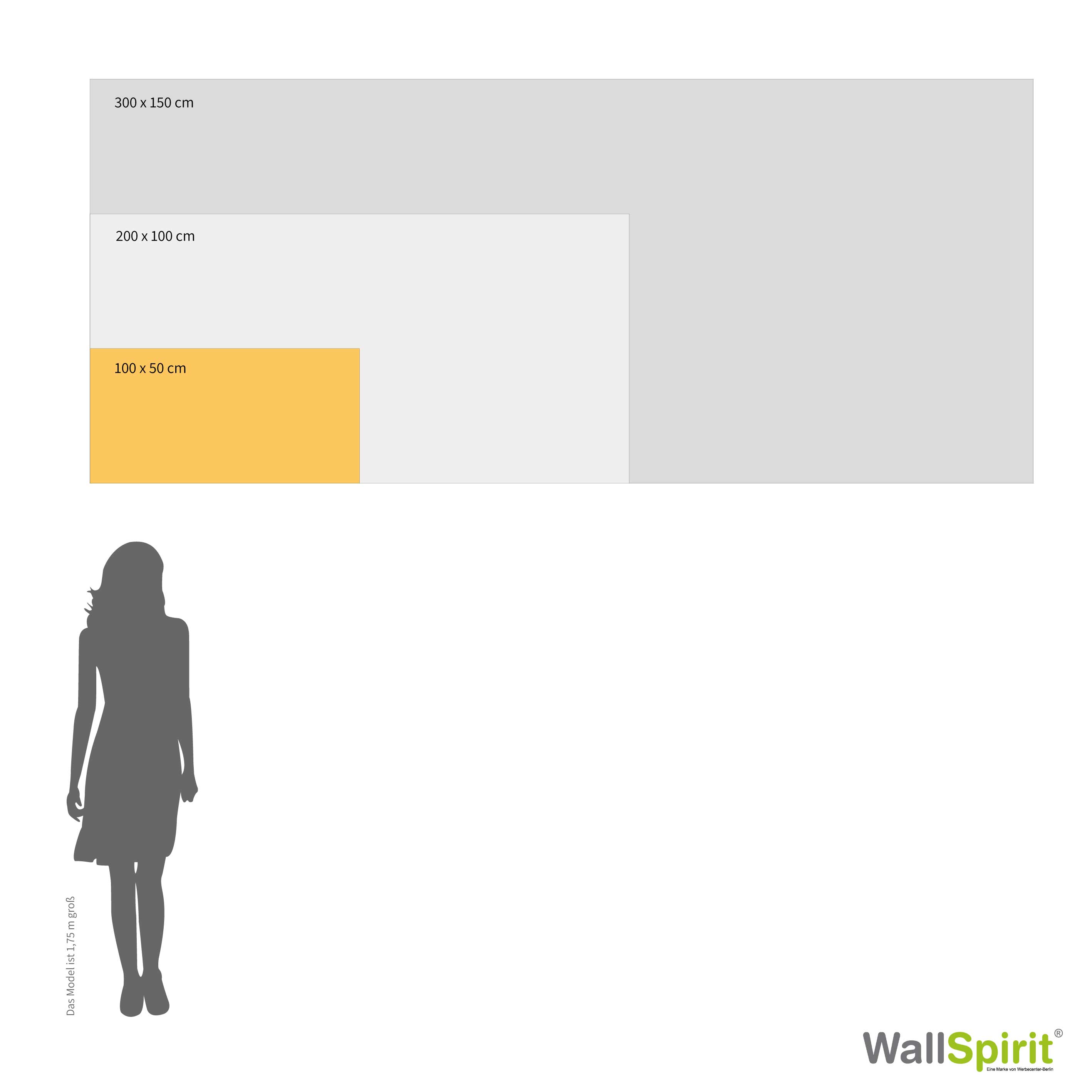 Vergleich von Bannergrößen: 100 x 50 cm, 200 x 100 cm und 300 x 150 cm mit einer Silhouette als Größenreferenz.