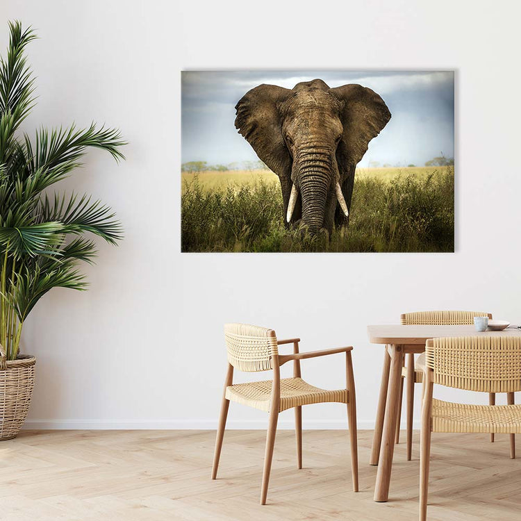 Canvasbild "Elefant - Afrika" Beispiel im Esszimmer