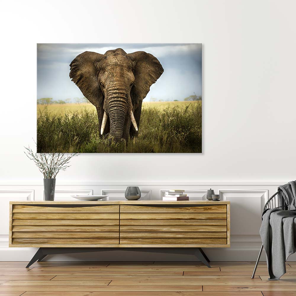 Canvasbild "Elefant - Afrika" über einer Holzkommode