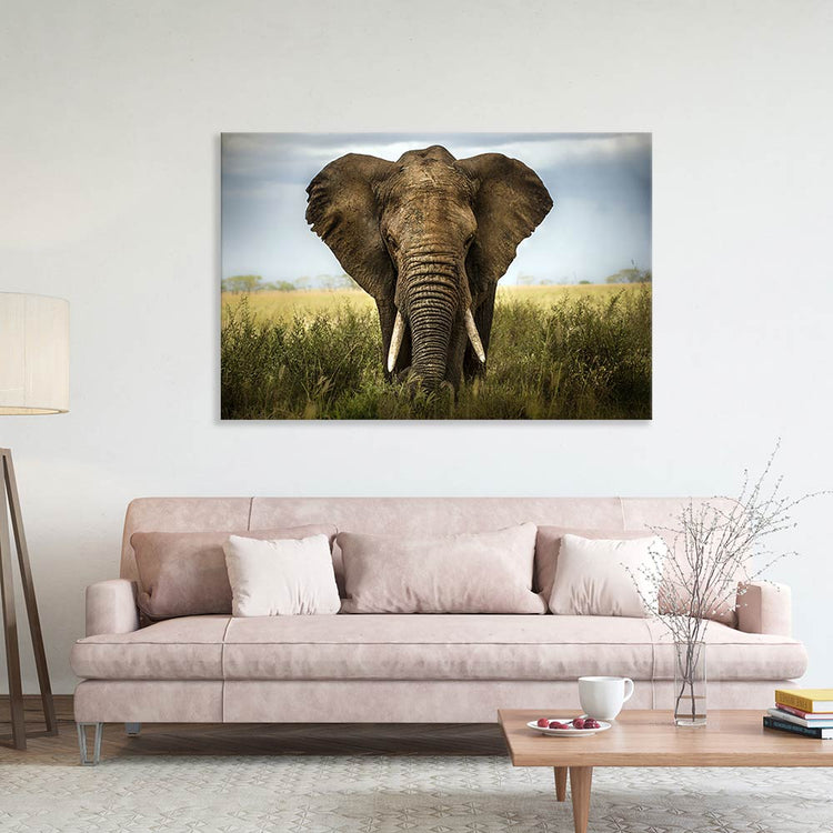 Canvasbild "Elefant - Afrika" Beispiel im Wohnzimmer