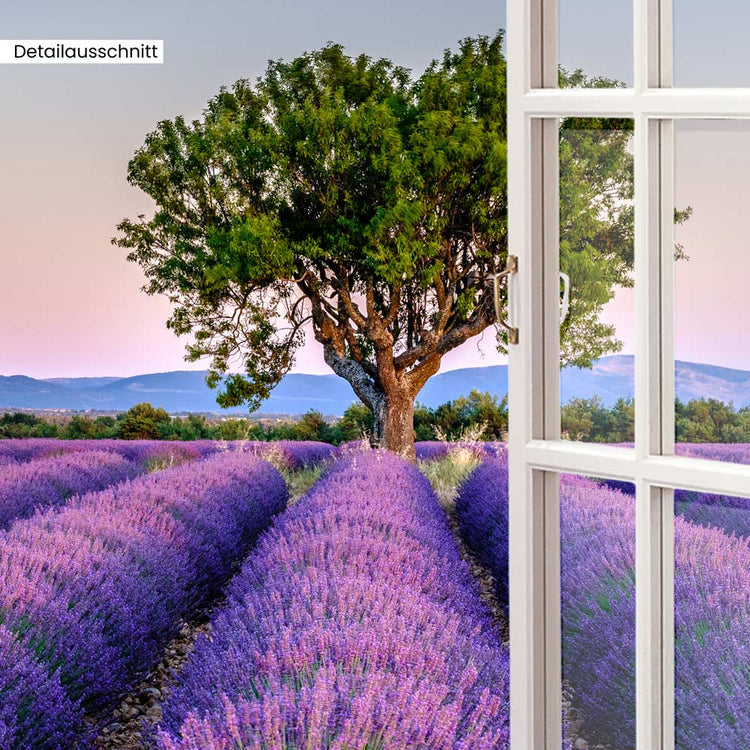 Detailausschnitt Leinwandbild Fensterblick "Lavendelfeld"