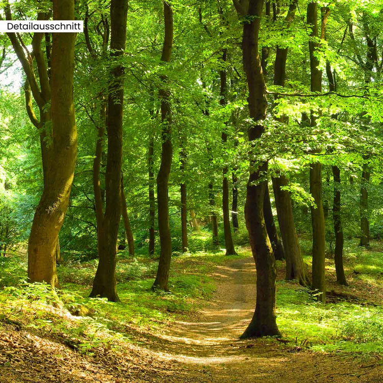 Detailausschnitt Leinwandbild Fensterblick "Wald"