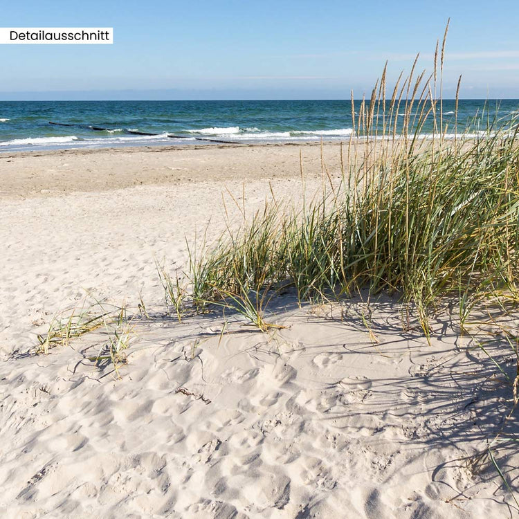 Leinwandbild "Strand Ostsee" Detailansicht