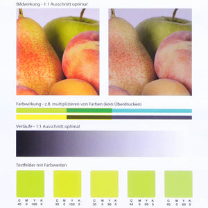 Beispielbild für einen Probeandruck. Mit Obst und einzelnen Farbfeldern, sowie Farbverlauf.